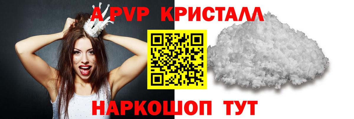 Альфа ПВП СК КРИС Киселёвск