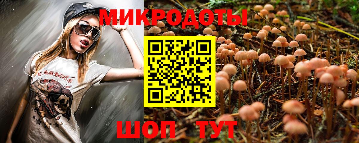 Псилоцибиновые грибы MAGIC MUSHROOMS  Псилоцибиновые грибы MAGIC MUSHROOMS  Вход с VPN  Киселёвск 