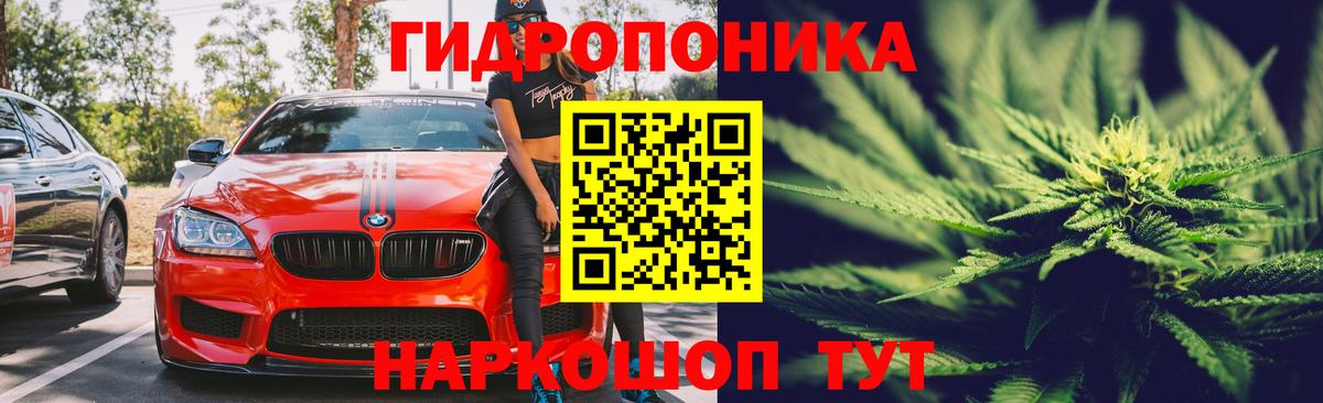 Шишки марихуана Amnesia Киселёвск